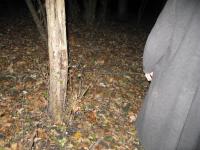 Chicago Ghost Hunters Group investigates Robinson Woods (172).JPG